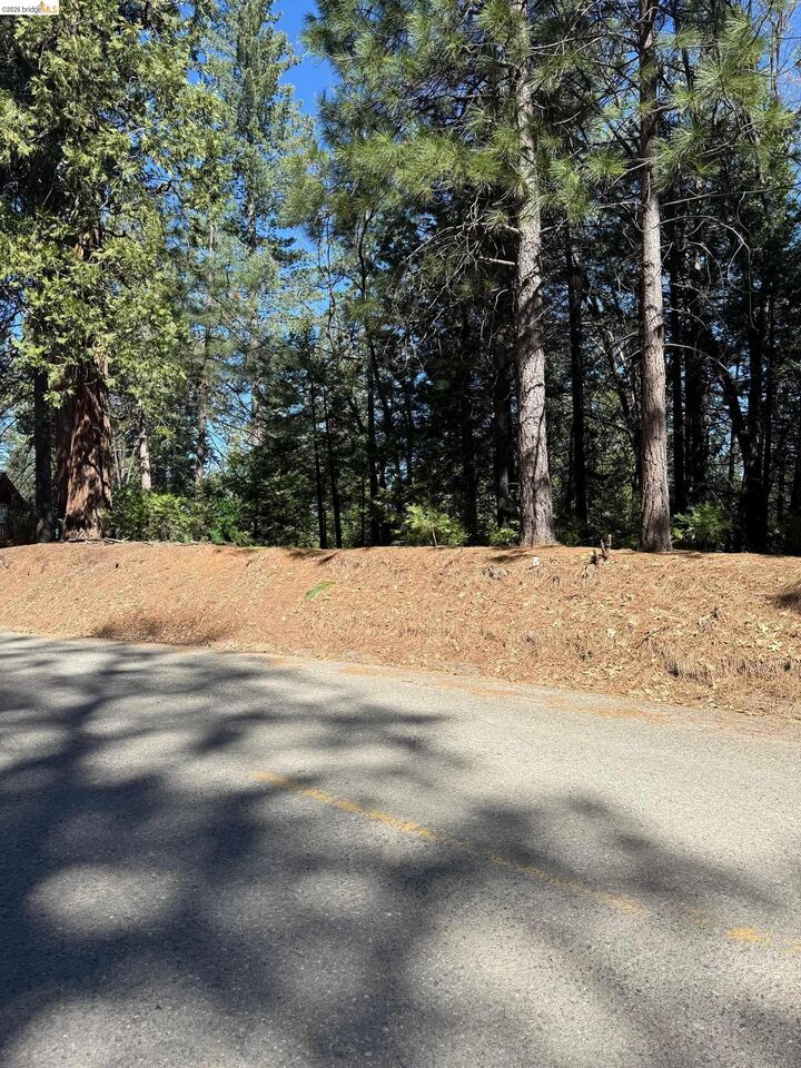 Jolene Meyer Realtor in Sonora, CA