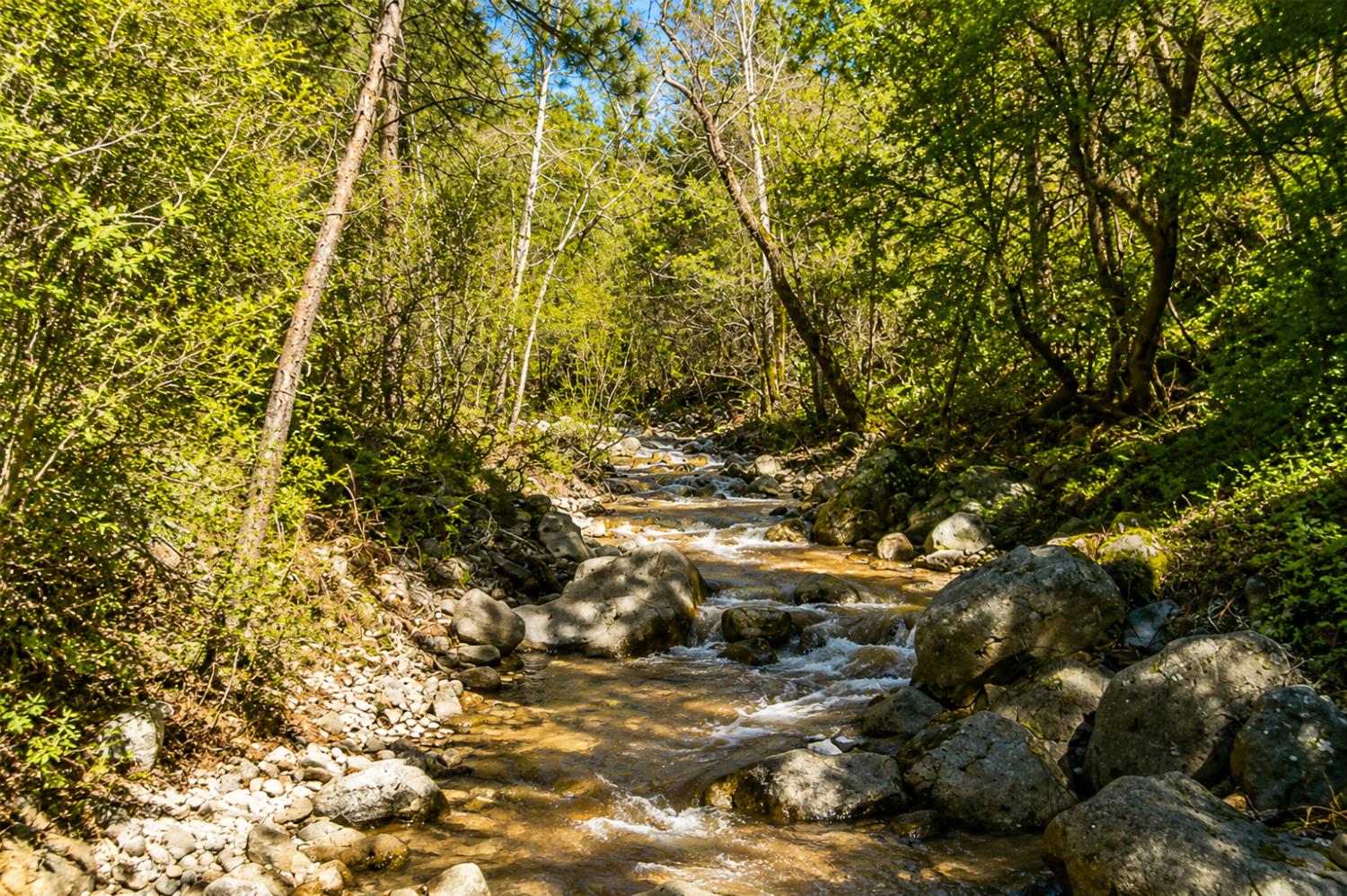 Kellie Thomas & Jessica Lee, Exp Realty of California Inc in Yuba City, CA (2)