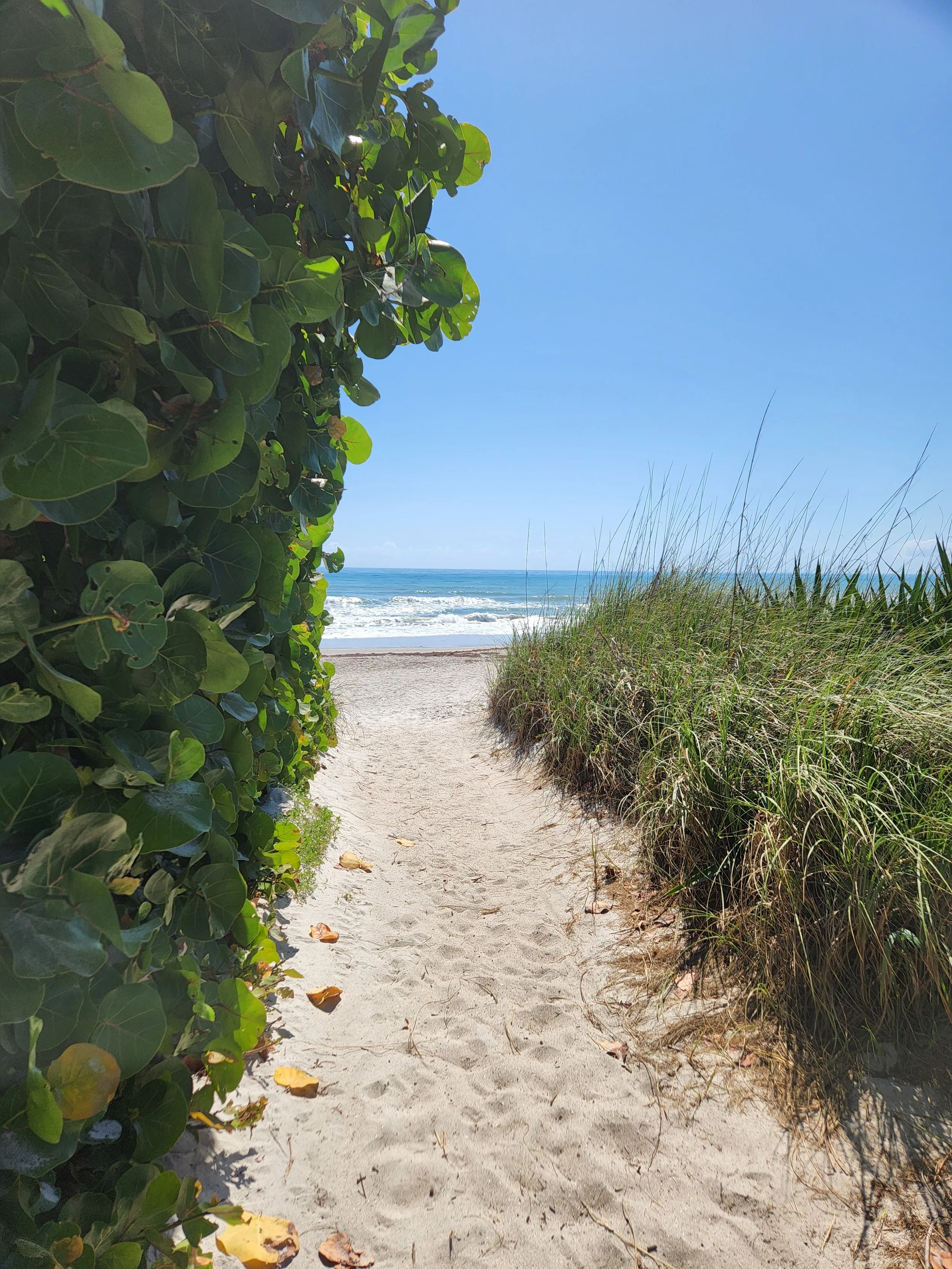 Brittany Adamson, REALTOR® | Cape Canaveral, FL in Merritt Island, FL (2)