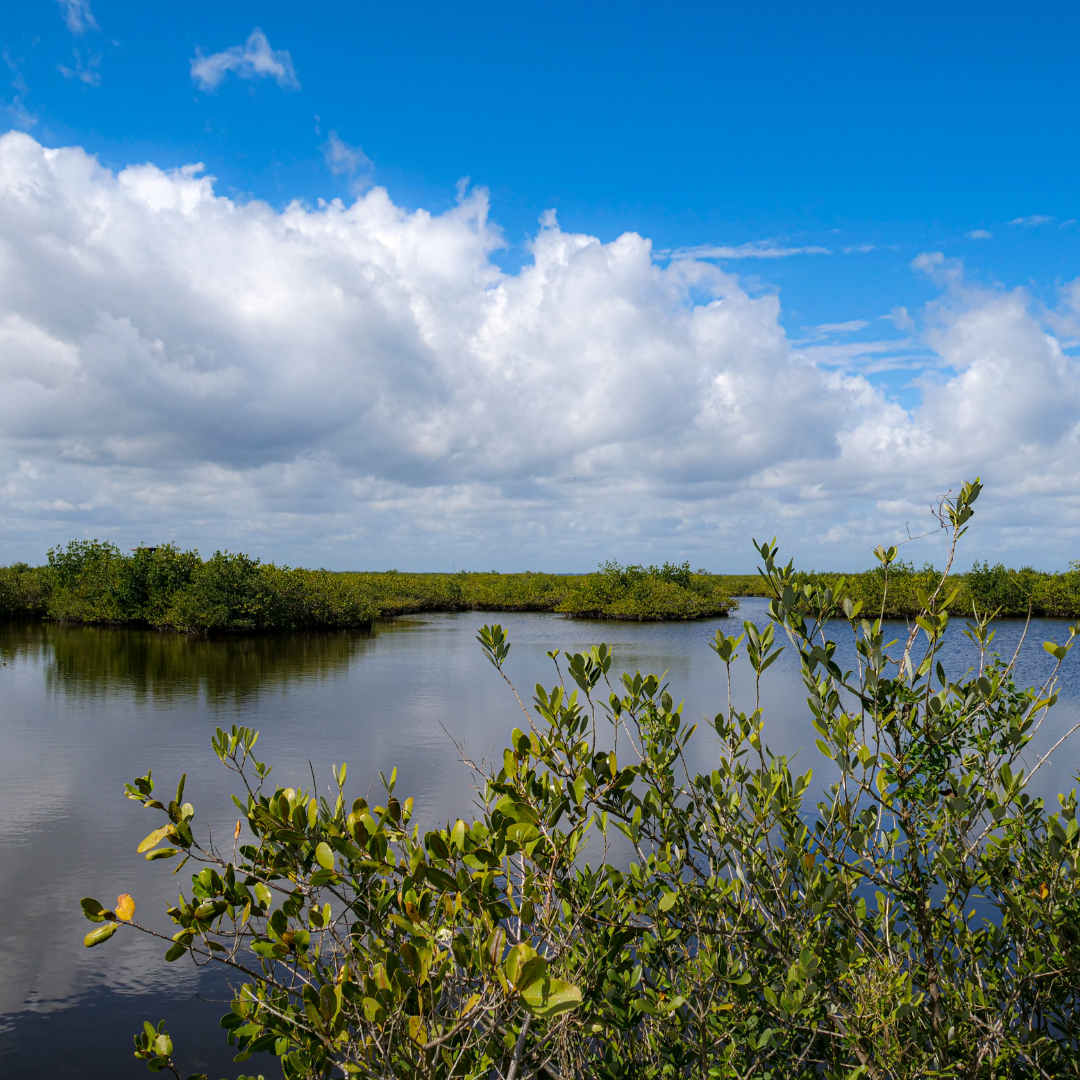 Brittany Adamson, REALTOR® | Cape Canaveral, FL in Merritt Island, FL (3)
