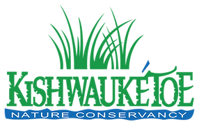 Kishwauketoe Nature Conservancy in Williams Bay, WI (4)