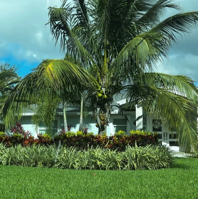 Pinellas Property Management (West) in Indian Shores, FL (2)