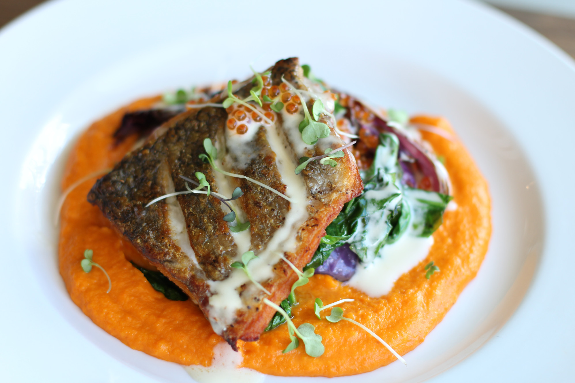 Bistro le Bliss in West Bloomfield Township, MI