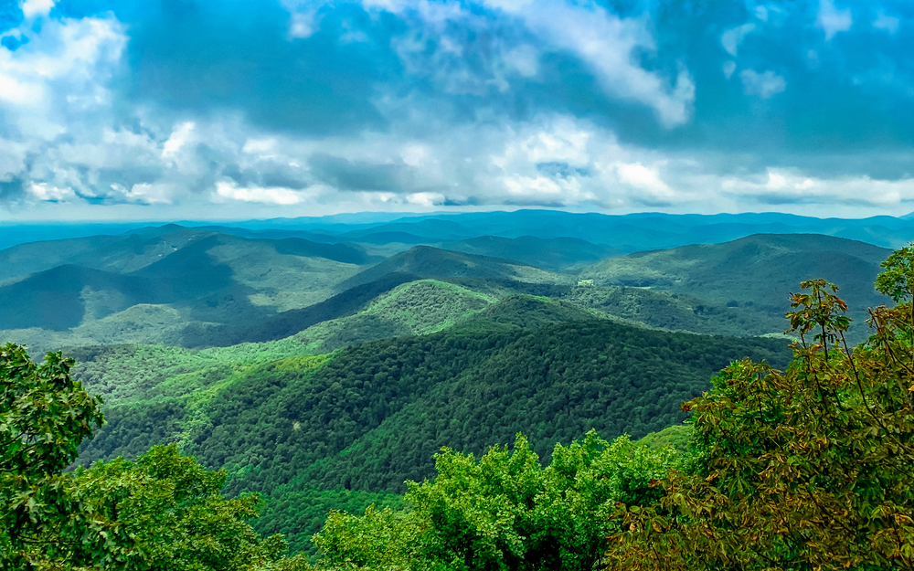 Mountain Place Realty in Blue Ridge, GA