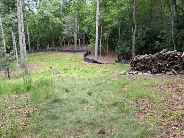 Mountain Place Realty in Blue Ridge, GA (3)