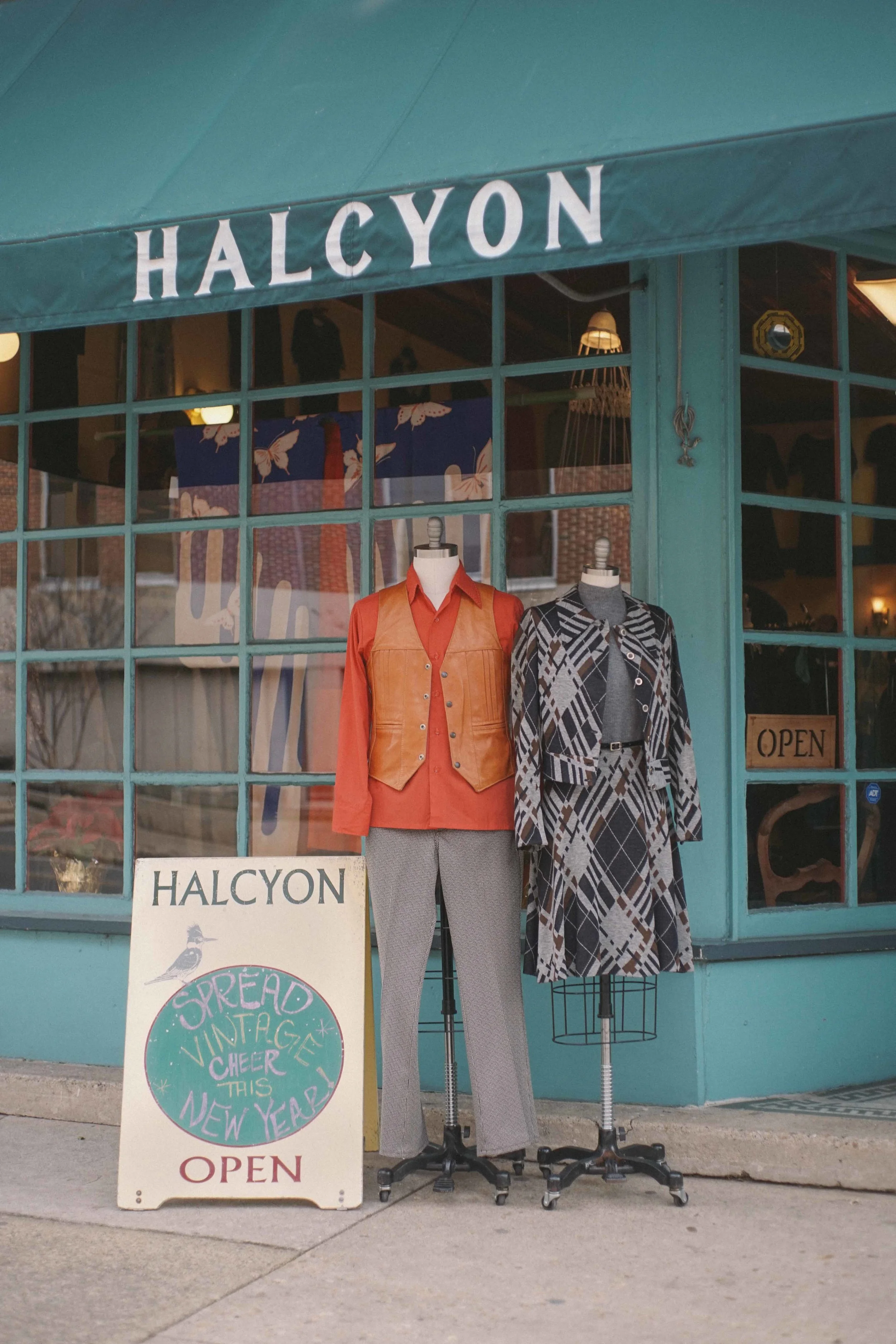 Halcyon Vintage Clothing in Richmond, VA (4)