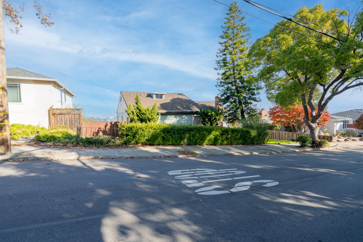 Fridman Realty in Menlo Park, CA (3)