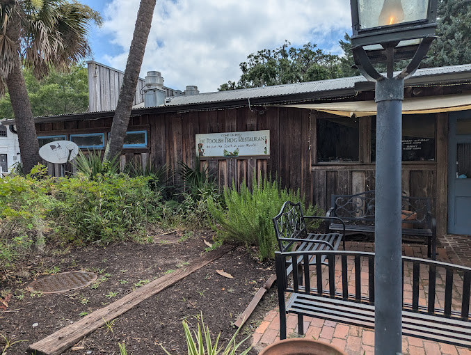 Foolish Frog in St Helena Island, SC