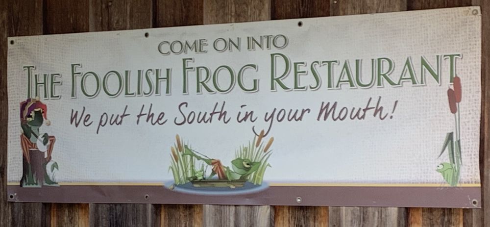 Foolish Frog in St Helena Island, SC (4)
