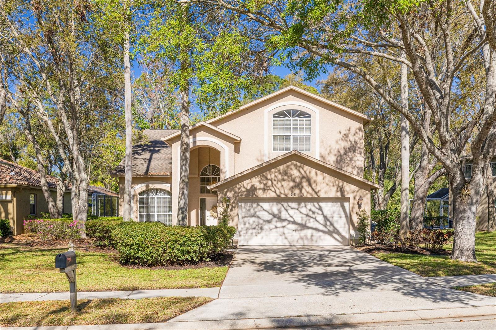 Julie Kelsey in Palm Harbor, FL (2)