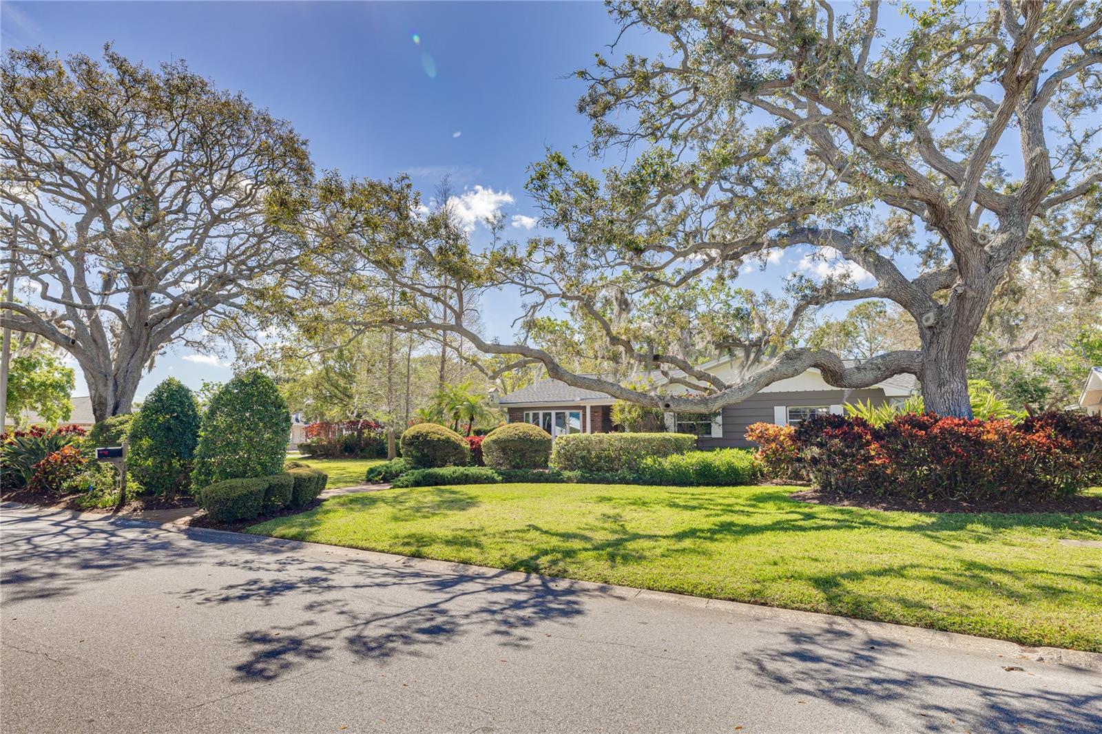 Julie Kelsey in Palm Harbor, FL (4)