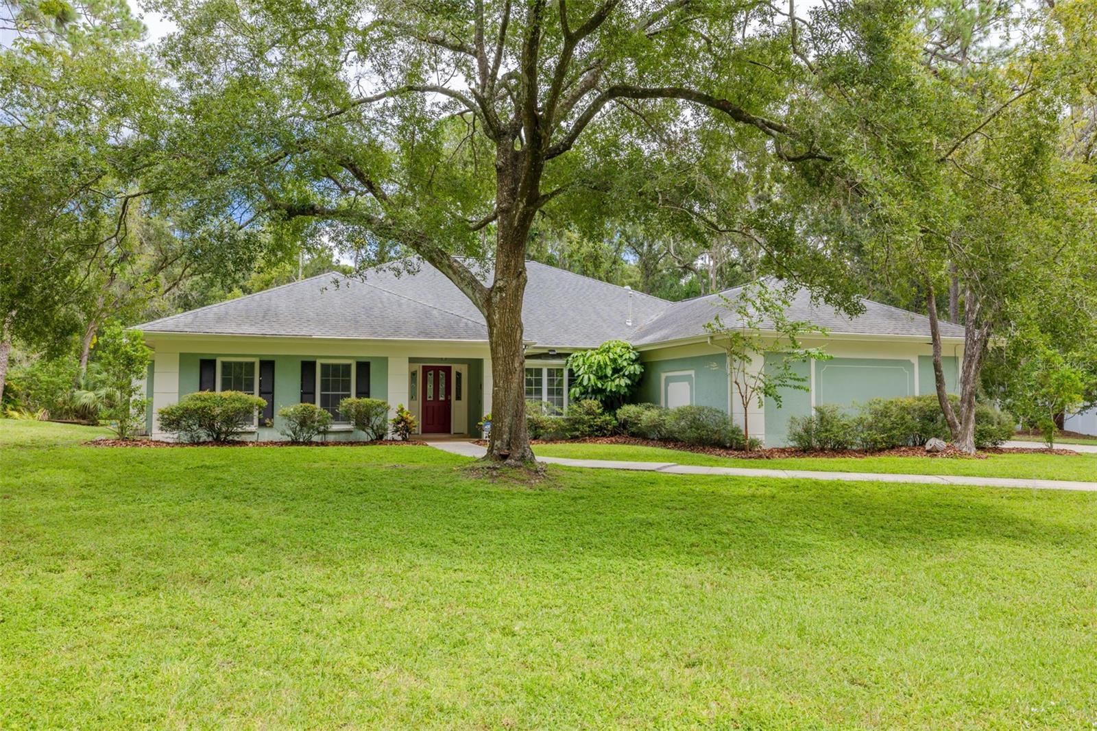Julie Kelsey in Palm Harbor, FL (5)