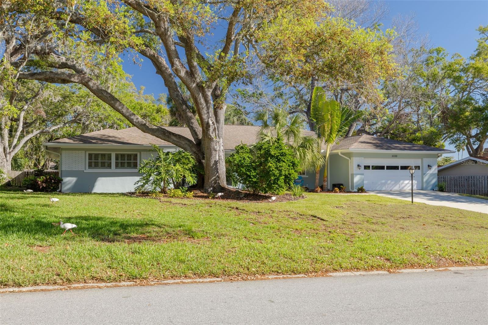 Julie Kelsey in Palm Harbor, FL (6)