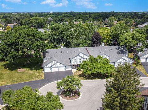Cara Team at Compass | Arlington Heights Realtors in Arlington Heights, IL (6)