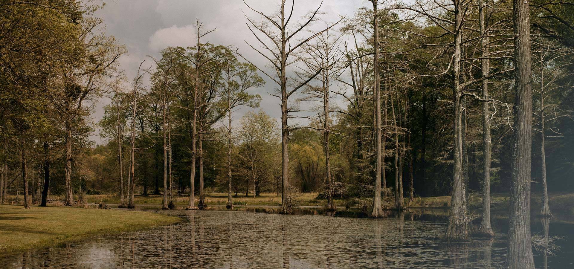 Cypress Point Resort in Brandon, MS