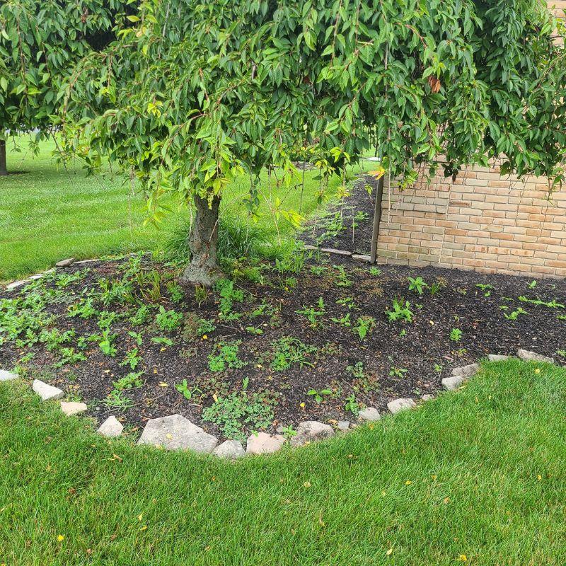 Simply Soul Lawn Care LLC in London, OH (2)
