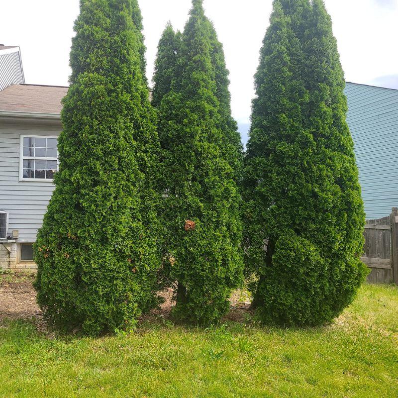 Simply Soul Lawn Care LLC in London, OH (4)