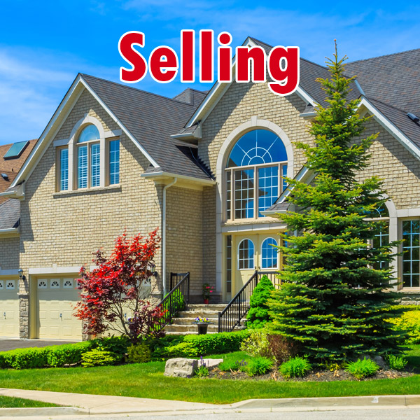 Real Estate Pro's in Mt Vernon, OH