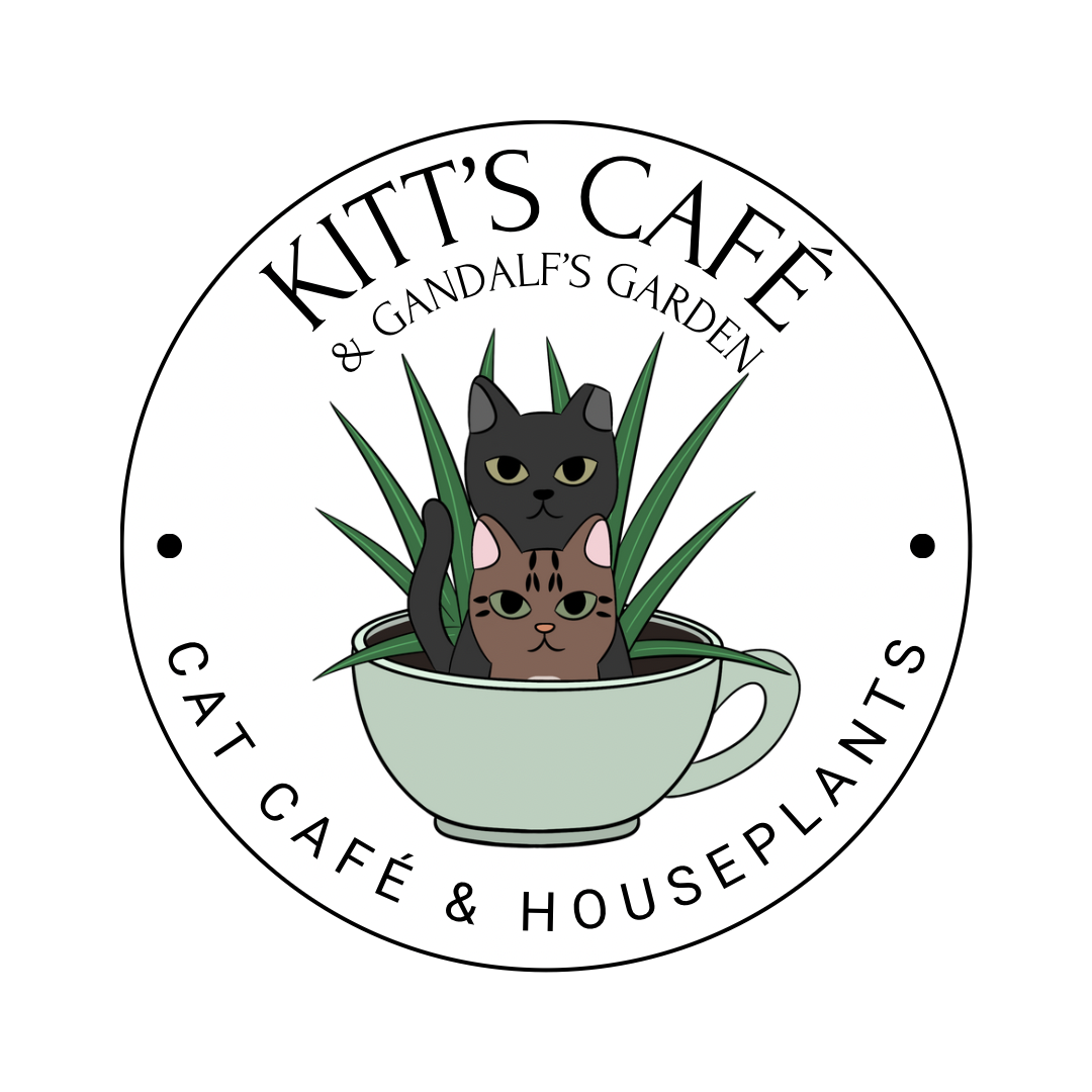 Kitt's Café & Gandalf's Garden in Blandon, PA (4)