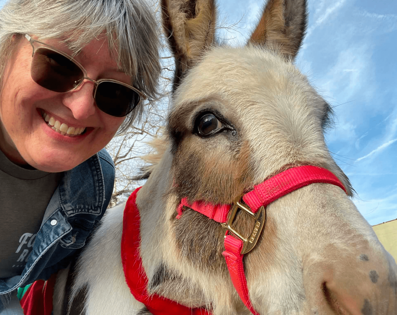 Infinity Acres Ranch /Animal Interactive Educational Non-Profit in Ridgeway, VA (5)