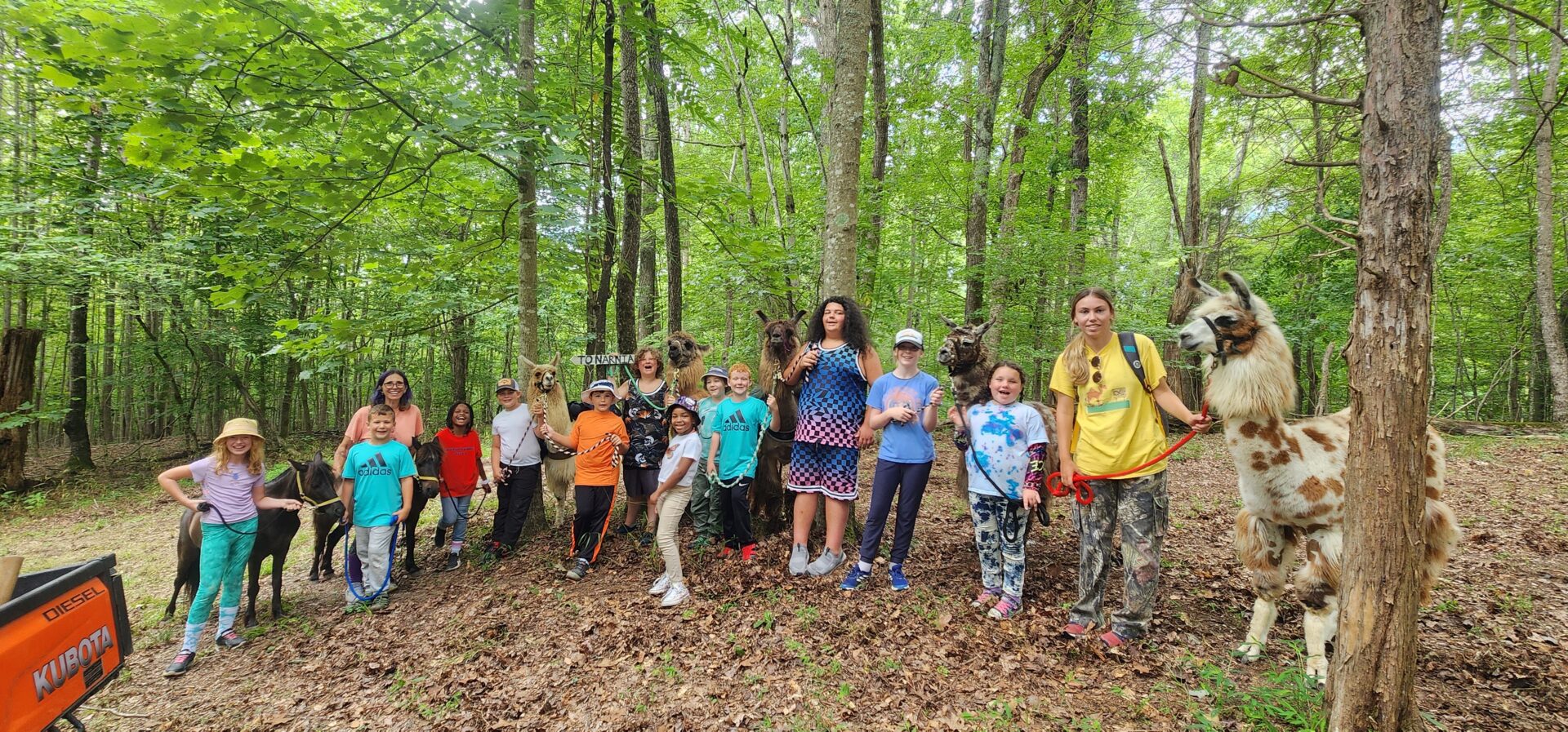Infinity Acres Ranch /Animal Interactive Educational Non-Profit in Ridgeway, VA (6)