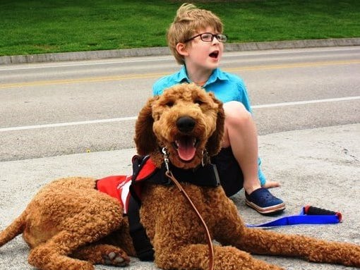 Highland Canine Training, LLC in Harmony, NC (5)