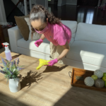 Maid Solution in Alexandria, VA (4)