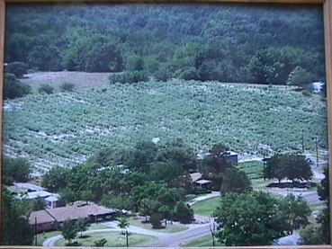 Blueberry Hill Farms, Inc. in Brownsboro, TX