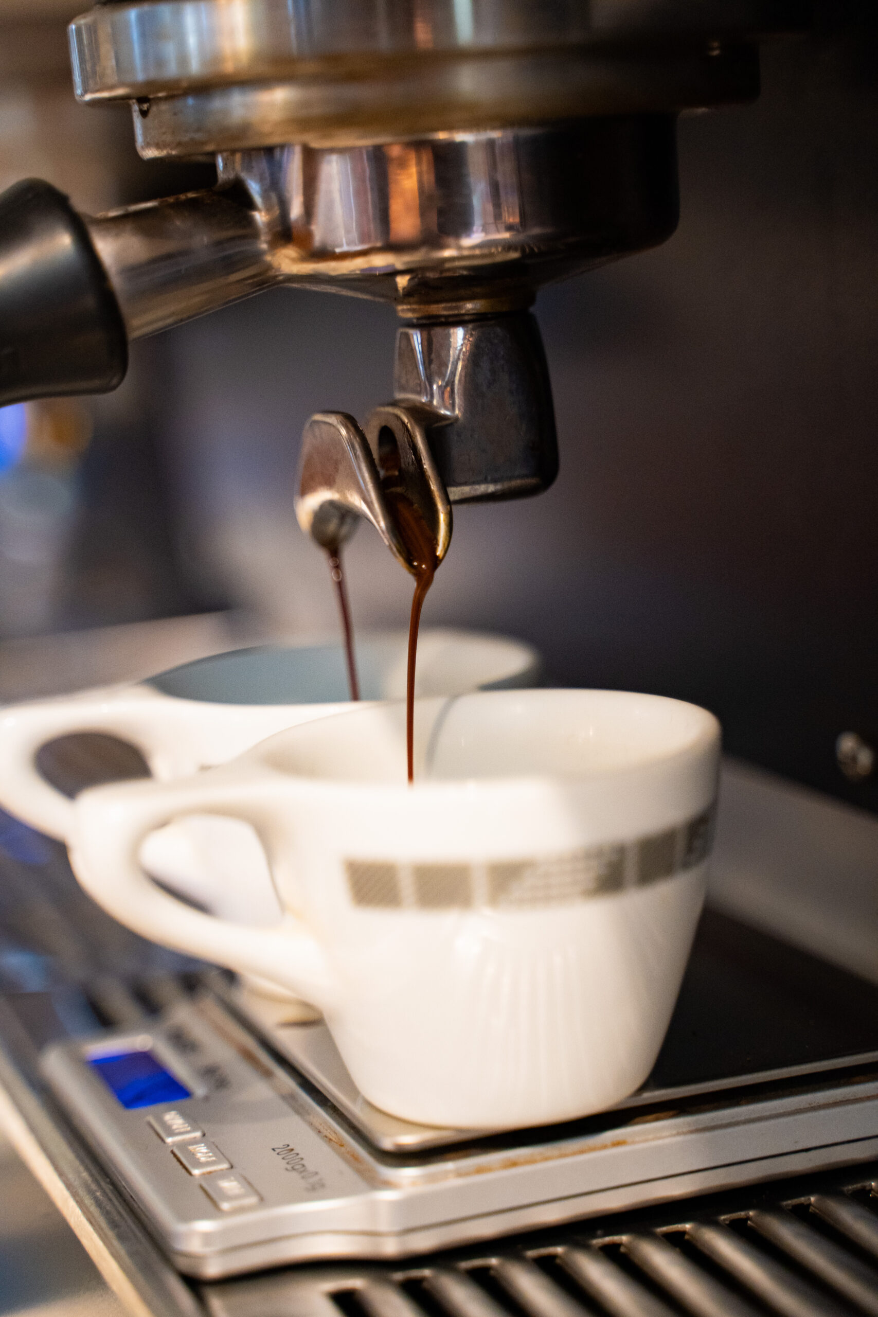 Kaffeehaus in Germantown, WI