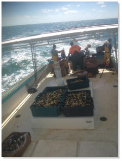 The Crab Plant in Crystal River, FL (5)