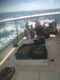 The Crab Plant in Crystal River, FL (6)