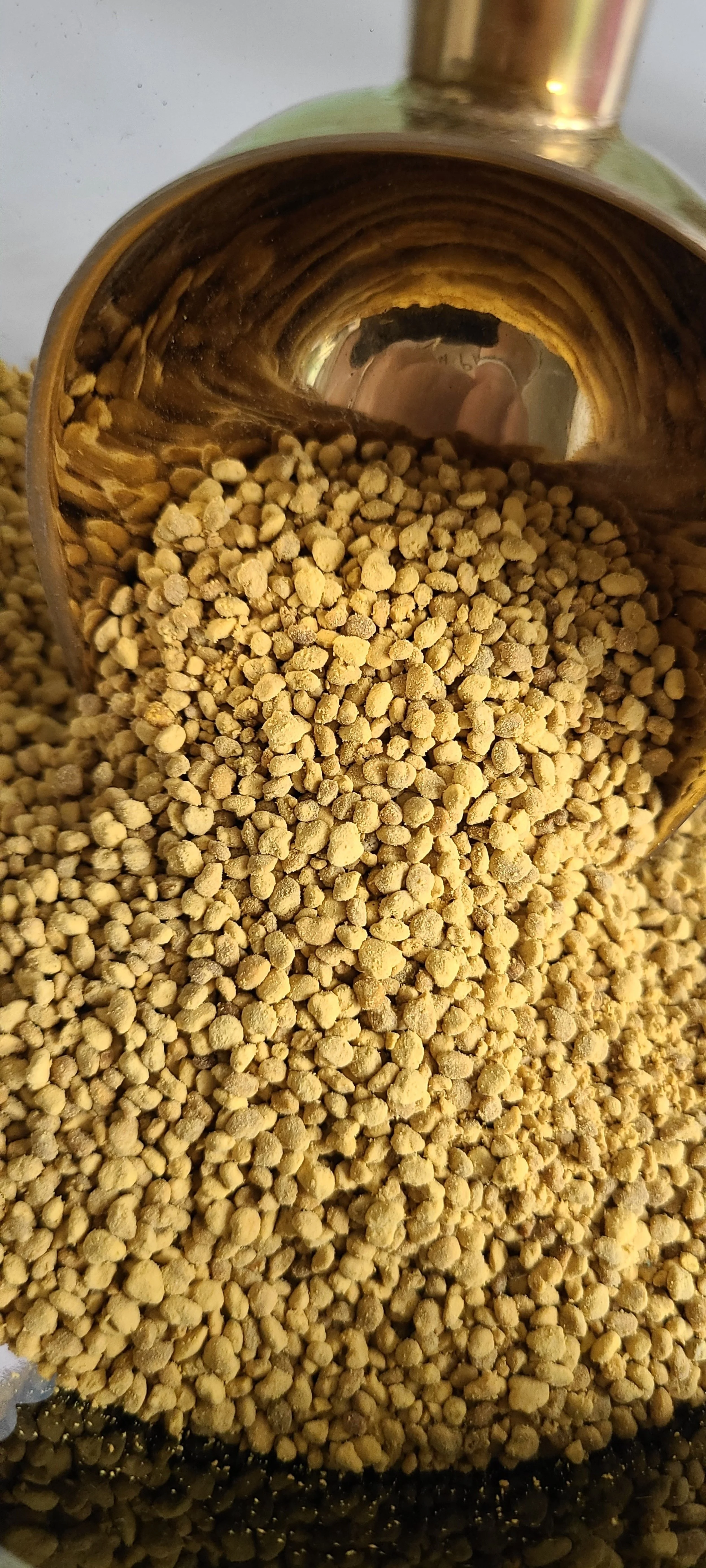 Divine Deliveries Herb Shop in Capitol Heights, MD (2)