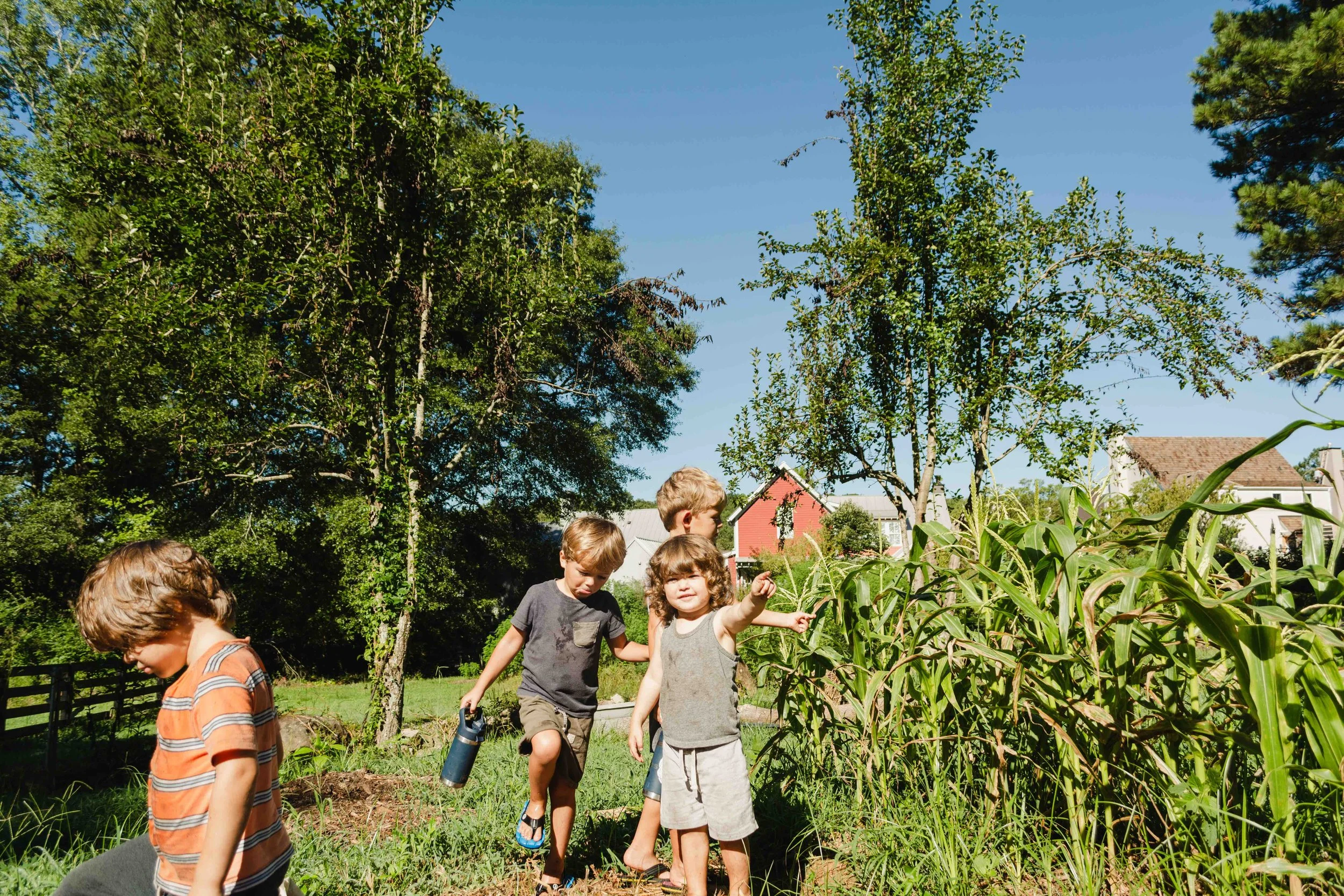 Serenbe Farms in Chattahoochee Hills, GA (2)