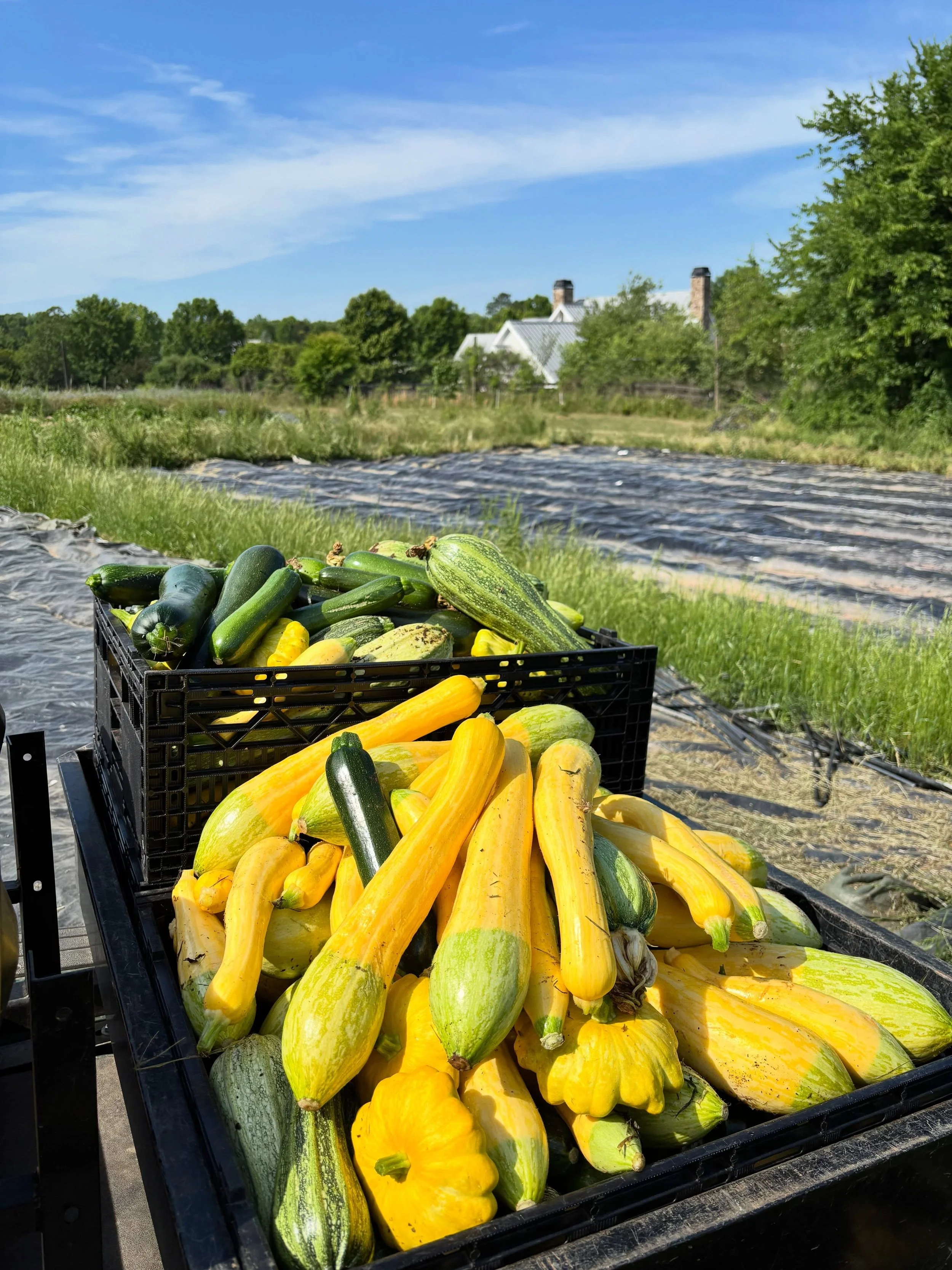 Serenbe Farms in Chattahoochee Hills, GA (3)