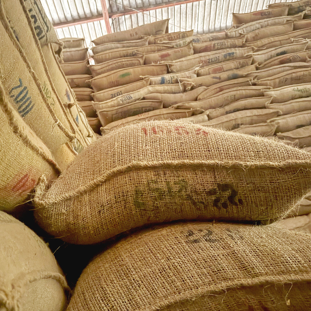 Coffee Labs Roasters in Yonkers, NY (4)