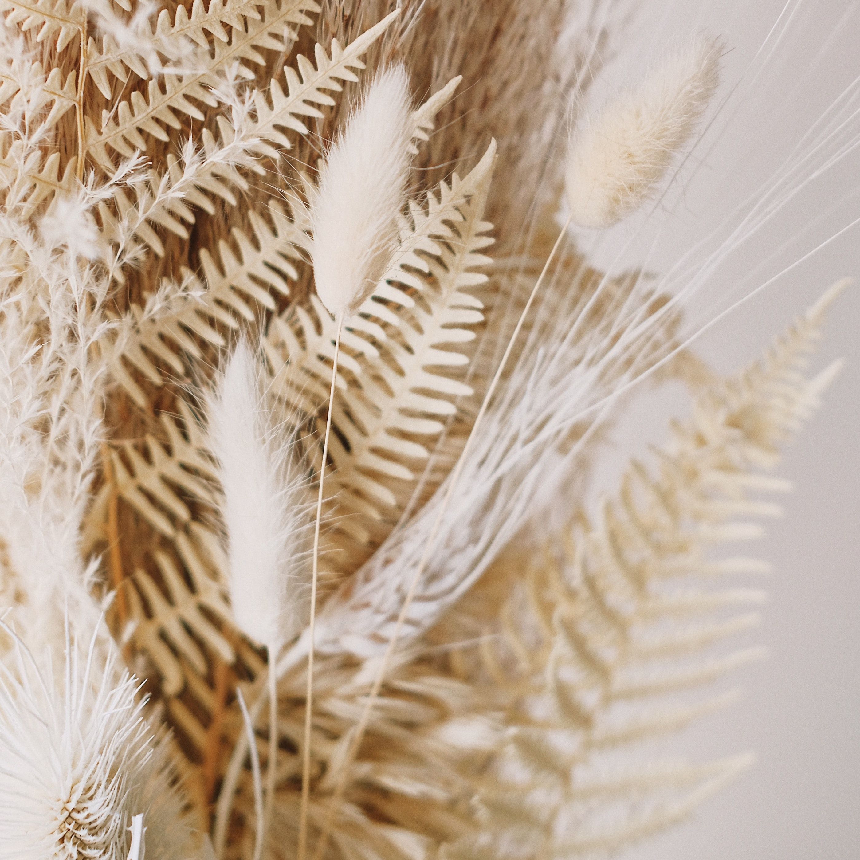 40 Volume Salon & Spa Pooler in Pooler, GA (5)