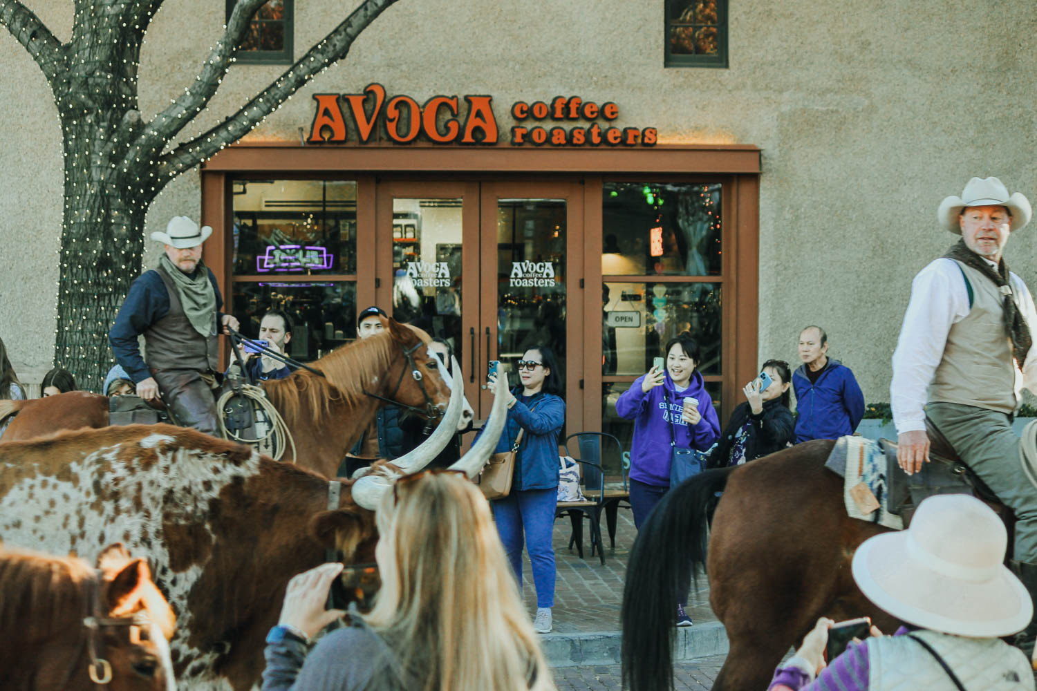 Avoca Coffee Roasters in Denton, TX (2)