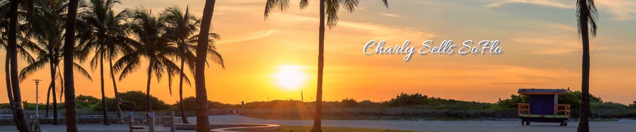 Charlene Cahen South FL Realtor in Fort Lauderdale, FL (4)