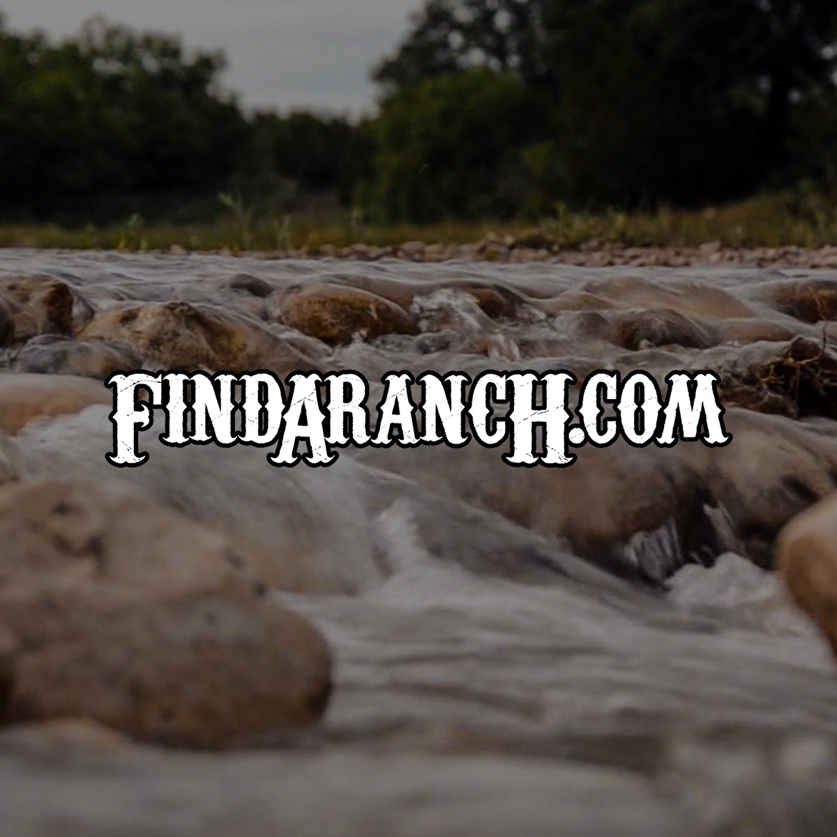 Findaranch.Com in Menard, TX (2)