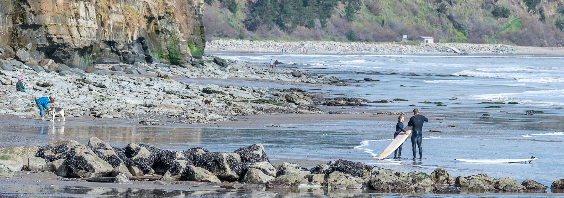 Jessica Wallace Realtor in Santa Cruz, CA (3)