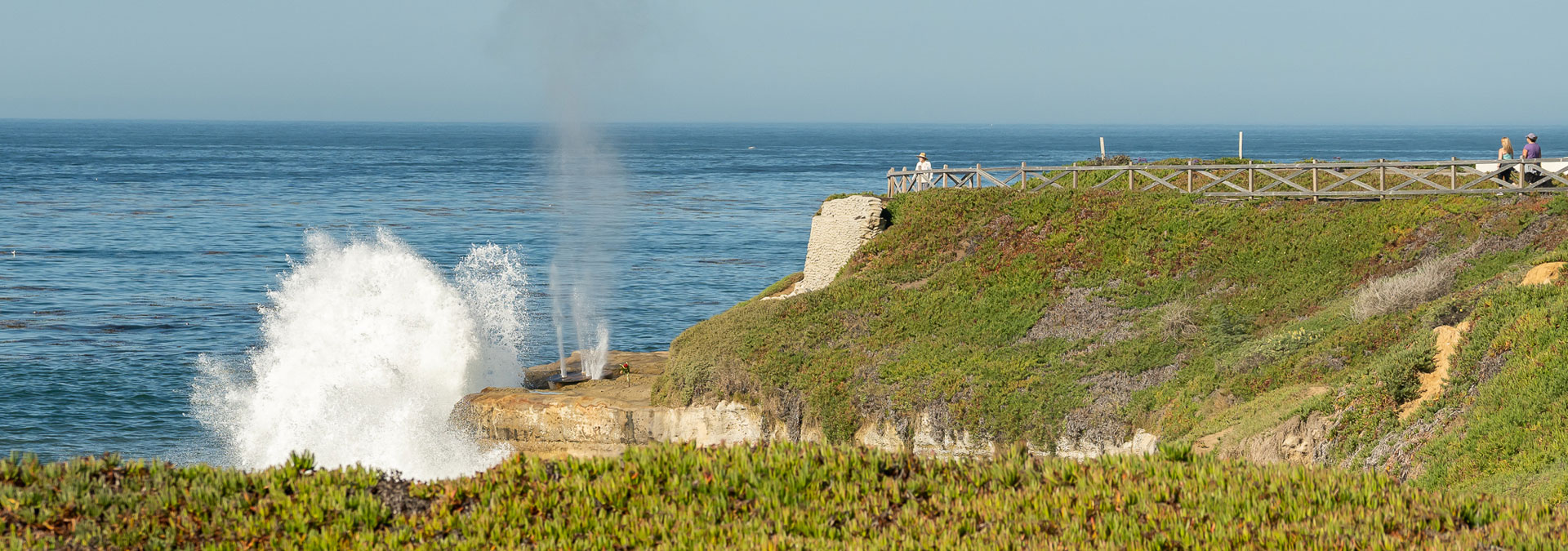 Jessica Wallace Realtor in Santa Cruz, CA (5)
