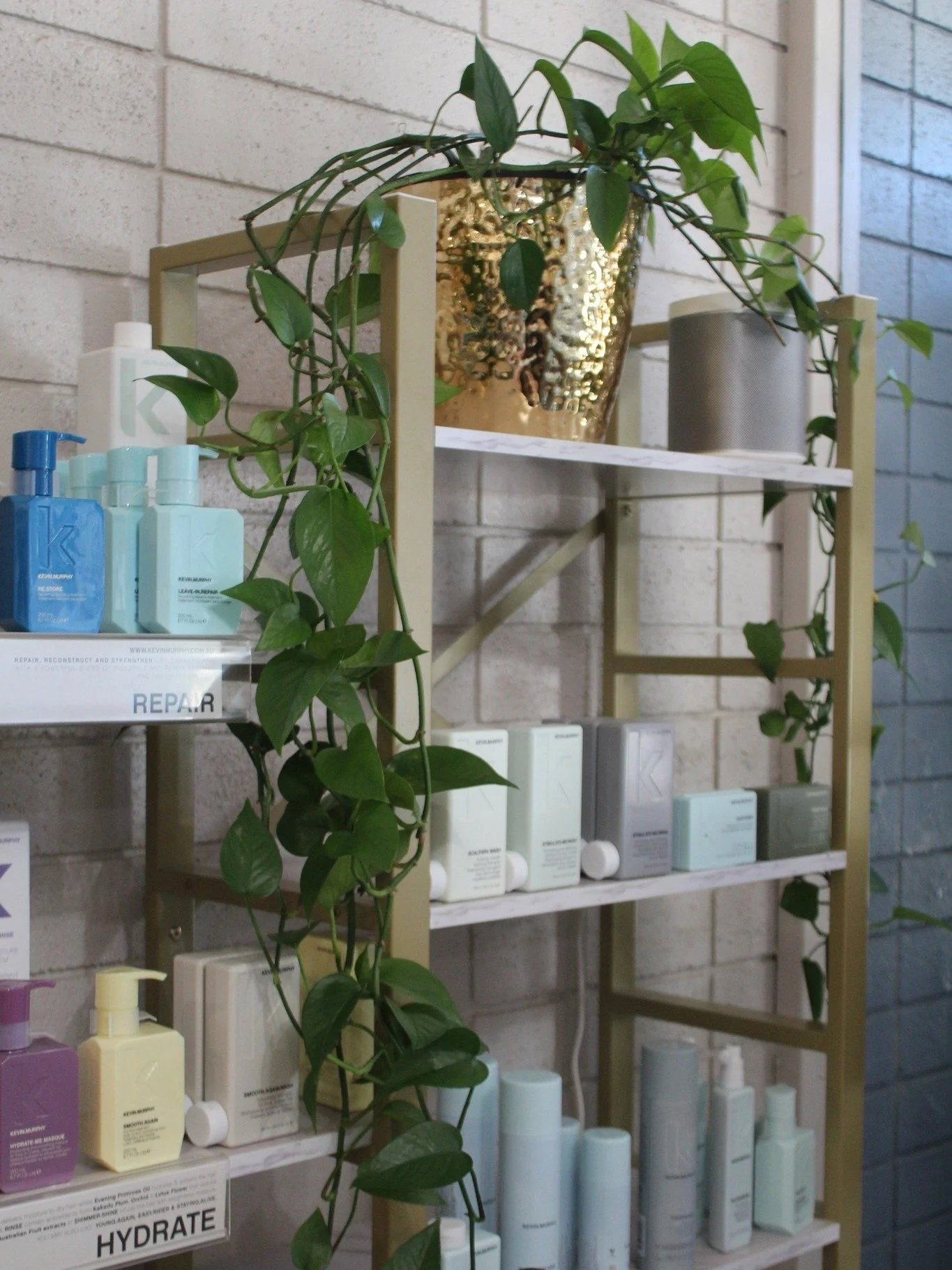 Ember Salon in Grass Valley, CA (5)