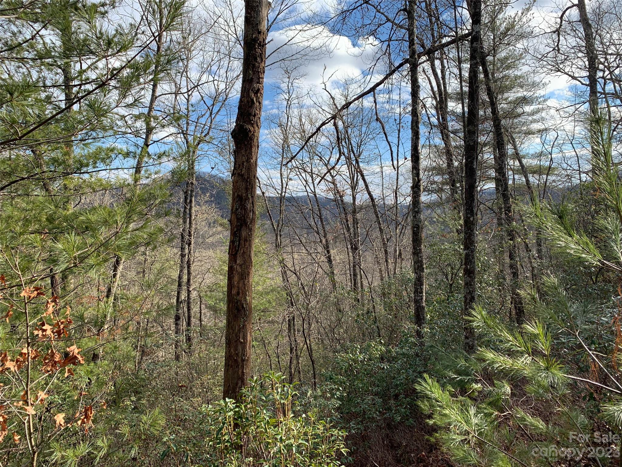 Team Billy Harris in Brevard, NC (4)