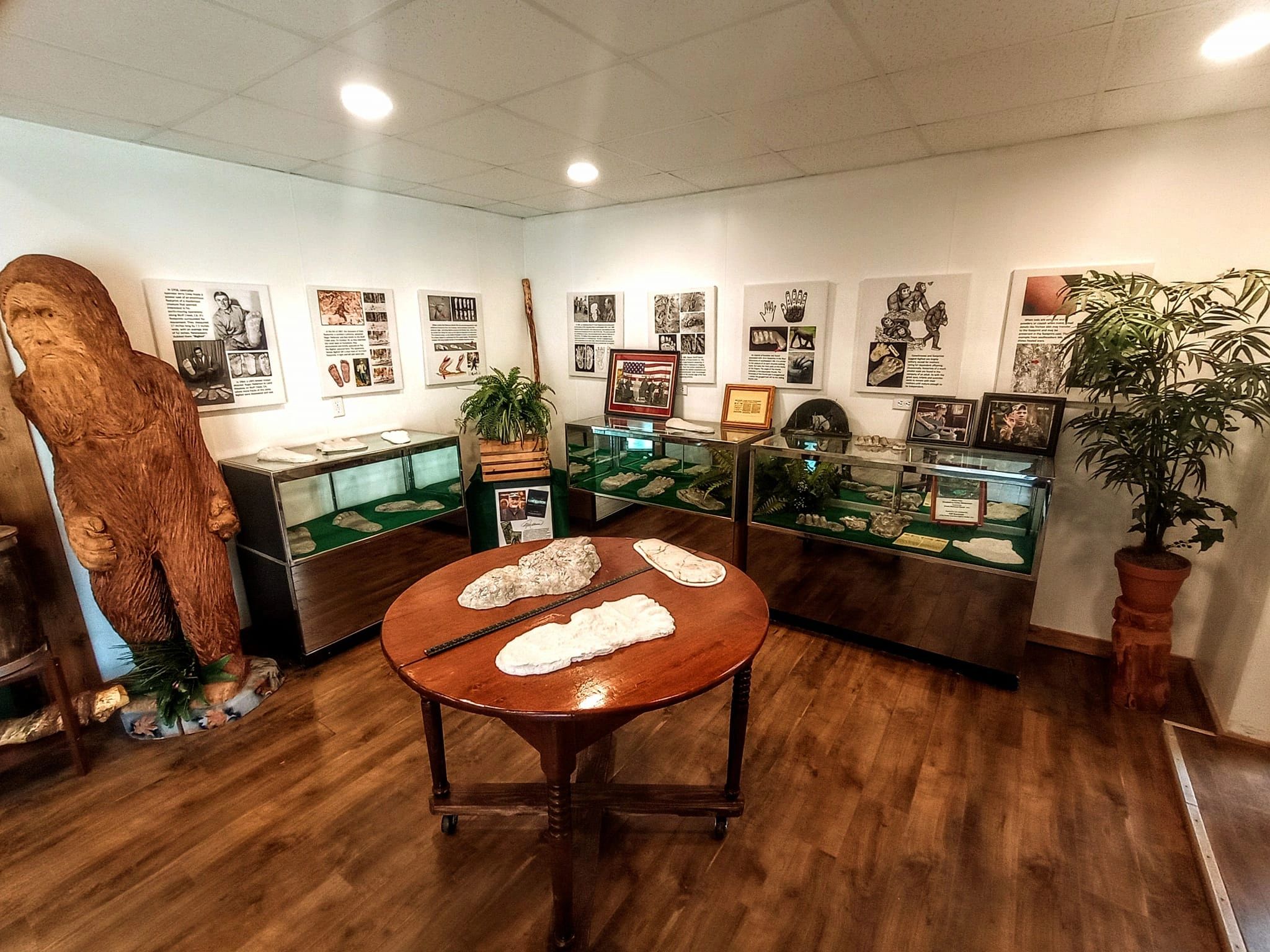 The West Virginia Bigfoot Museum in Sutton, WV