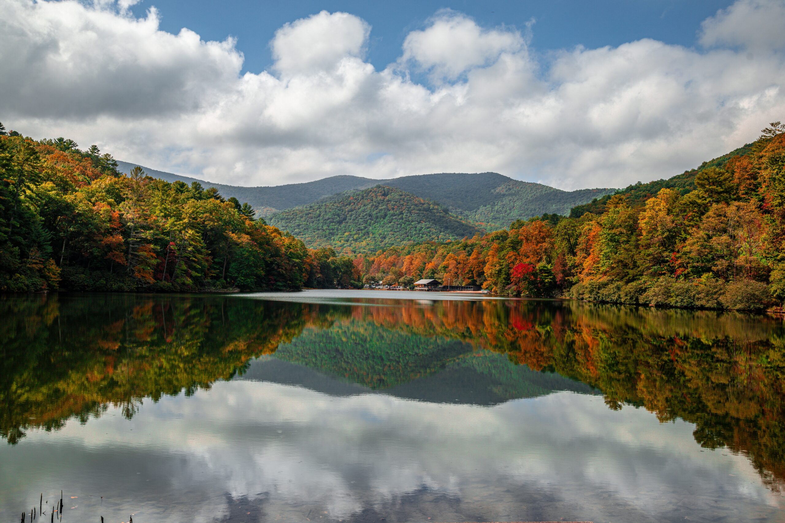Mercer Advisors - Blairsville in Blairsville, GA