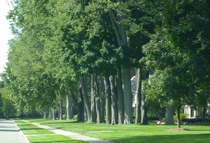 Higbie Maxon Agney in Grosse Pointe Farms, MI