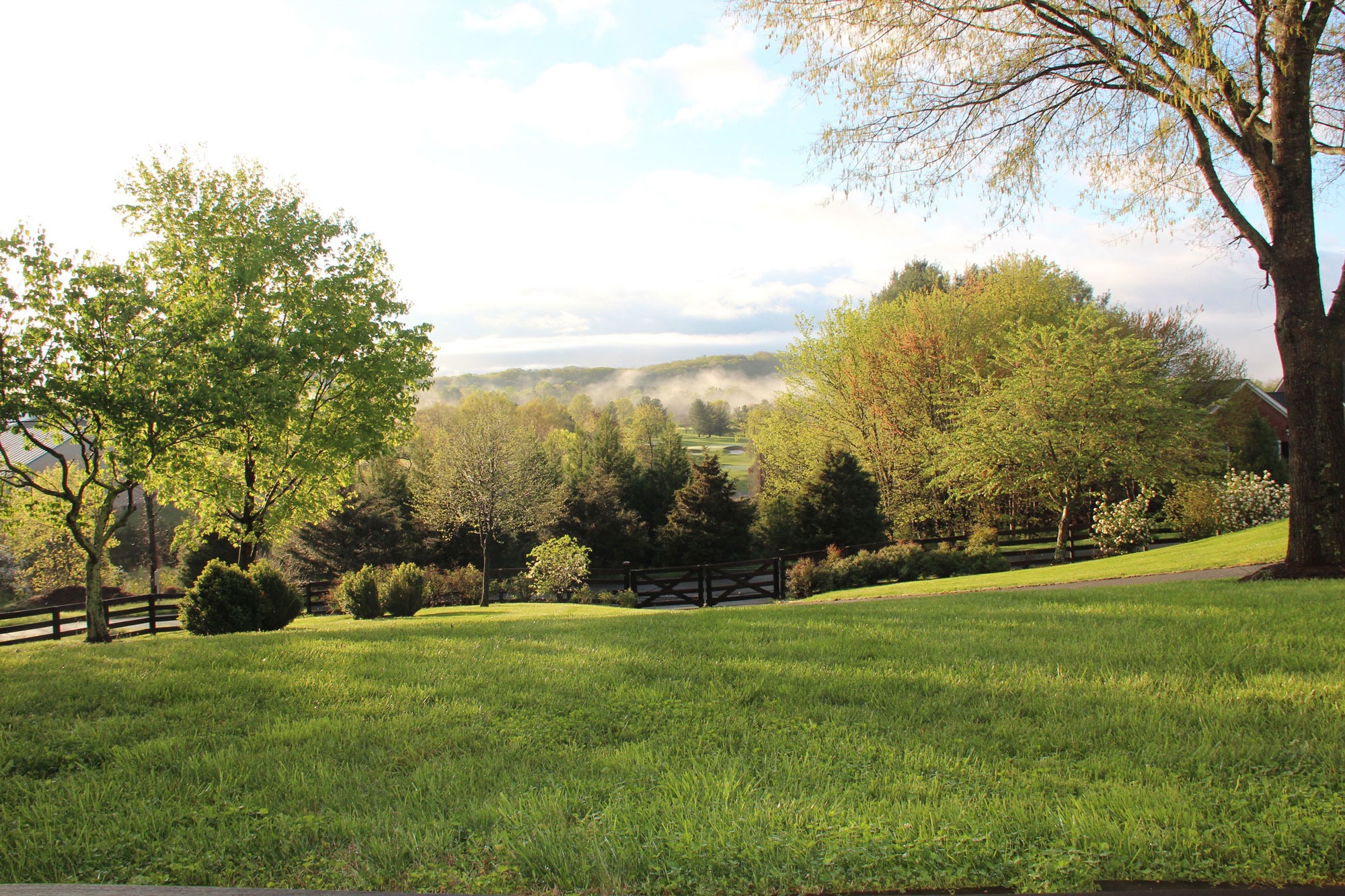 SALLY DU BOSE REAL ESTATE PARTNERS in Charlottesville, VA (3)