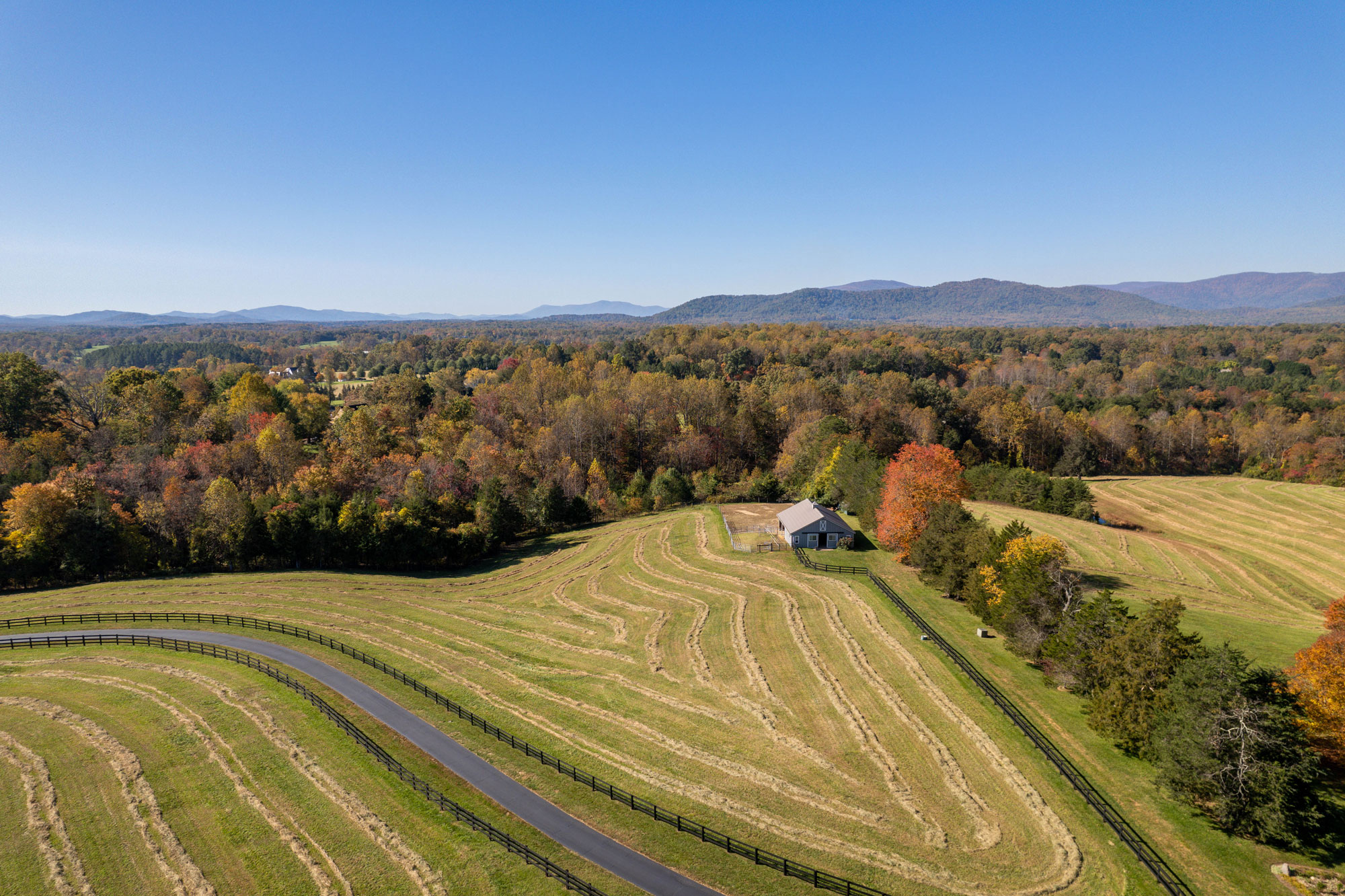 SALLY DU BOSE REAL ESTATE PARTNERS in Charlottesville, VA (6)