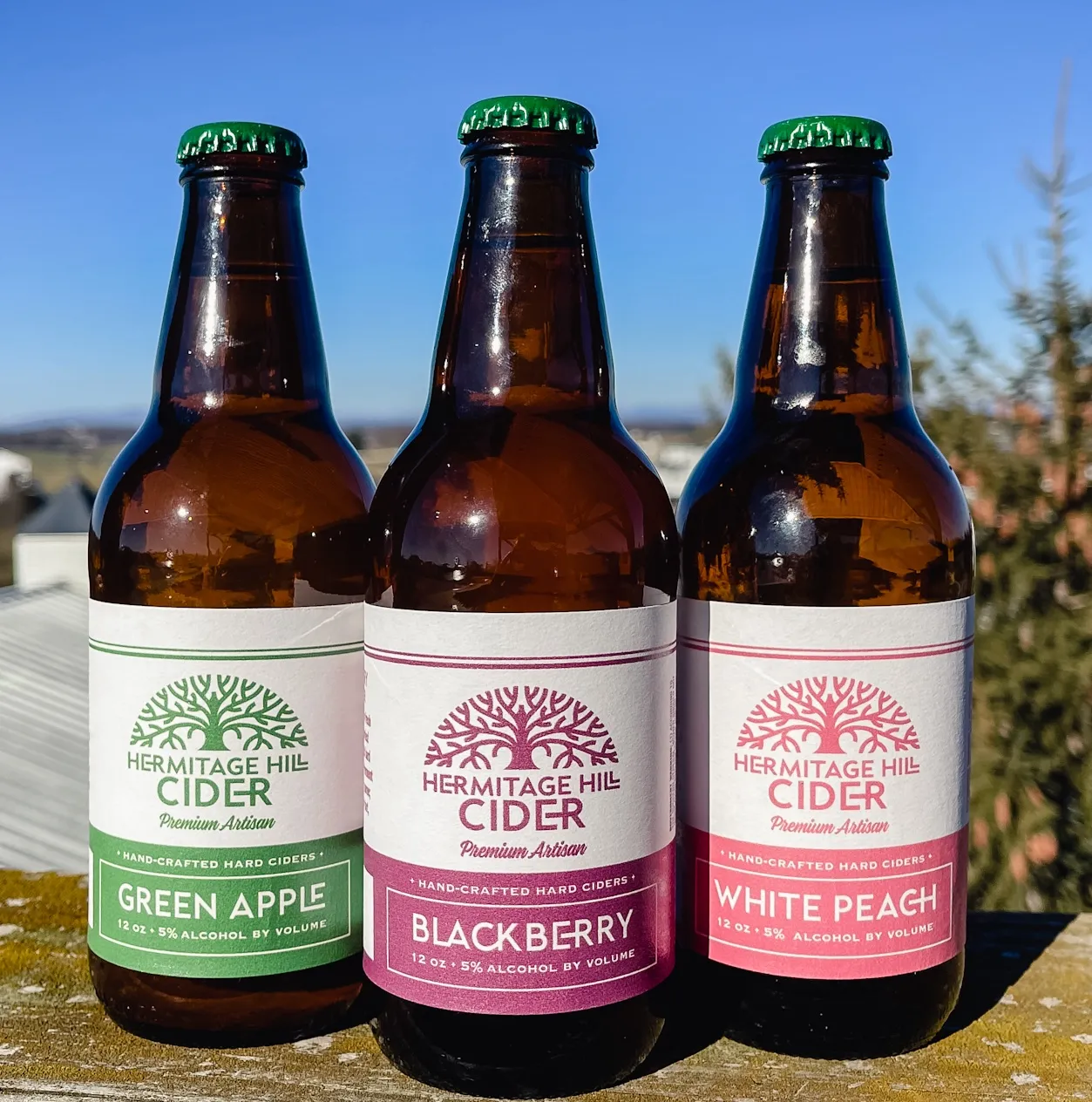 Stable Craft Brewing & Cidery in Waynesboro, VA