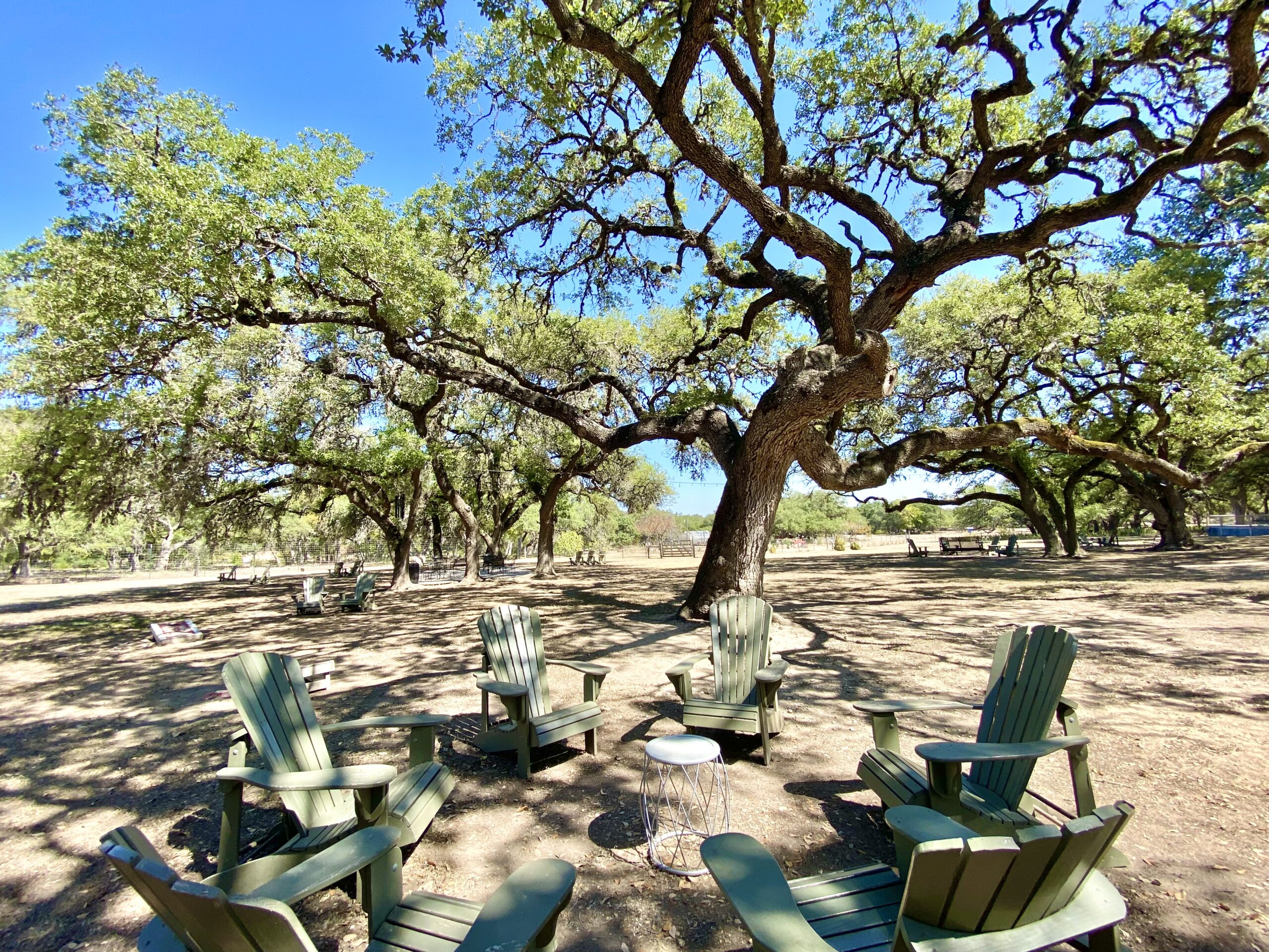 Wimberley Valley Winery in Driftwood, TX